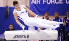 综合格斗赛场焦点！日本队对阵韩国队，体能极限考验，赛场硬仗一触即发